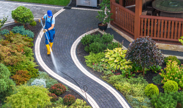 Best Pressure Washing Patio  in USA